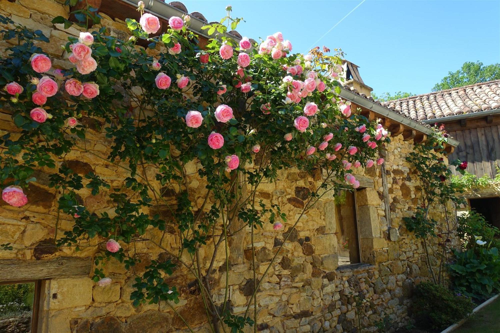 Domaine De Cournet Haut, A 17Th Century Property Set On A Calm, Idyllic Domain With Pool, Tennis, Bikes And More Les Vauries Exteriör bild