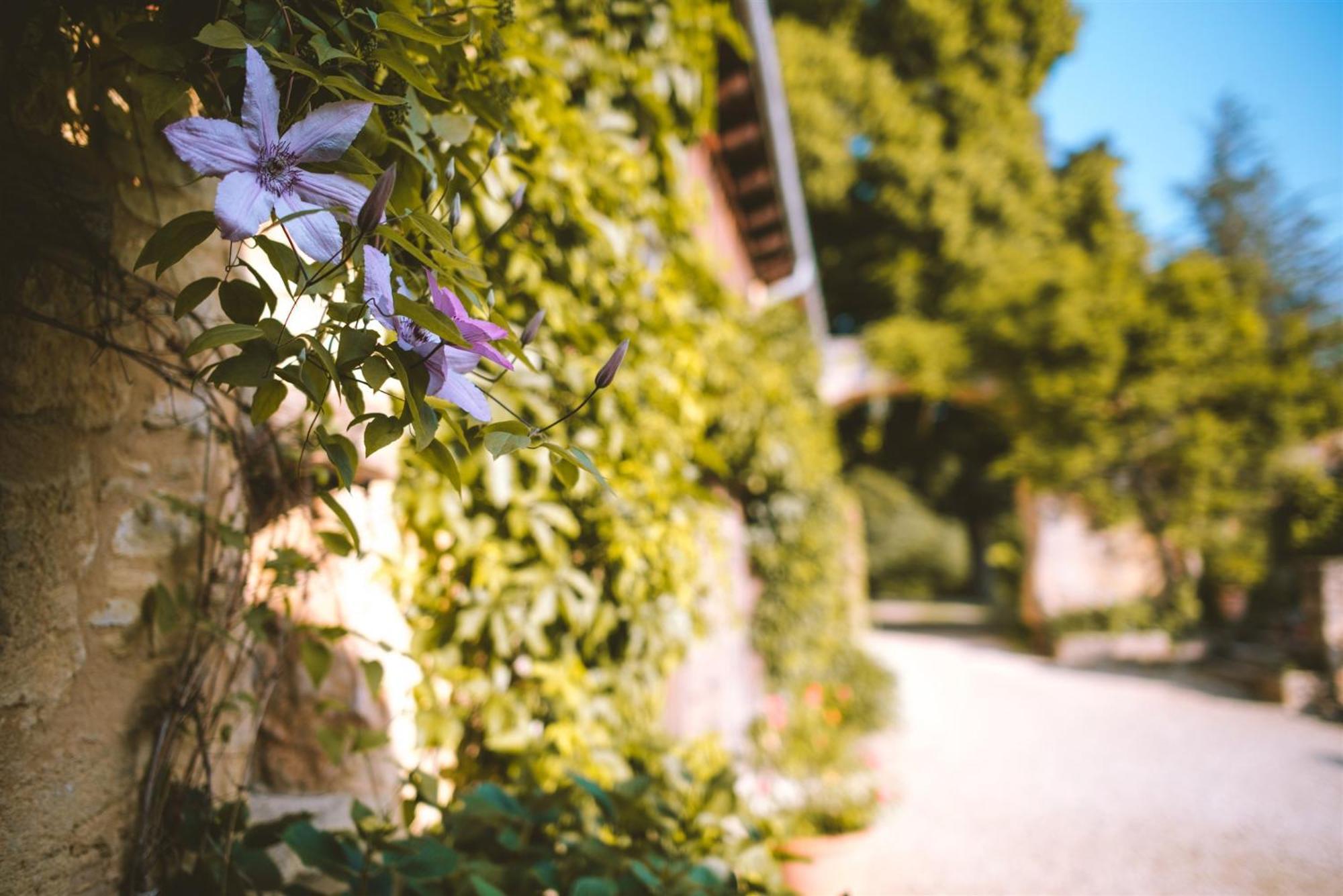 Domaine De Cournet Haut, A 17Th Century Property Set On A Calm, Idyllic Domain With Pool, Tennis, Bikes And More Les Vauries Exteriör bild